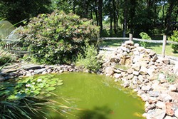 Estanque del jardín, casa Saint Jacob