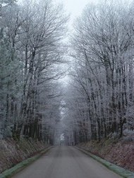 Bois de La Gacilly en hiver