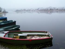 Marais de Glénac en hiver