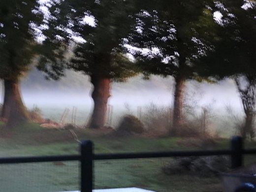 Brouillard sur le parc de Saint Jacob